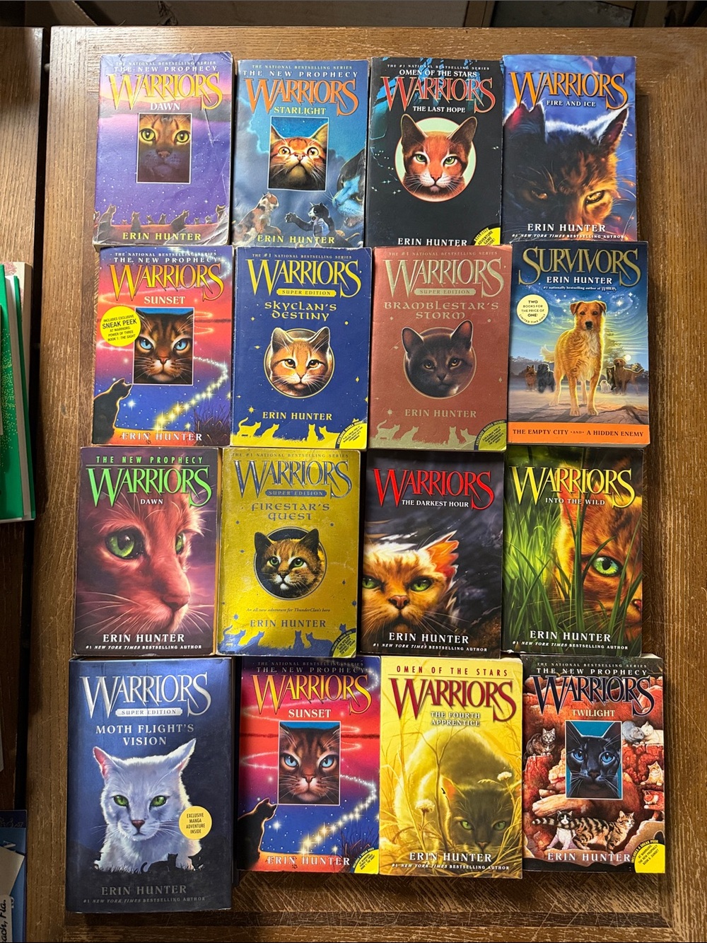 Warriors and Survivors Books